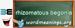 WordMeaning blackboard for rhizomatous begonia